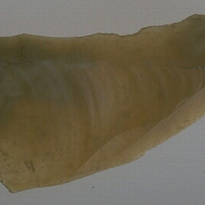 Photo de Tumulus du Château Bû à Saint-Just