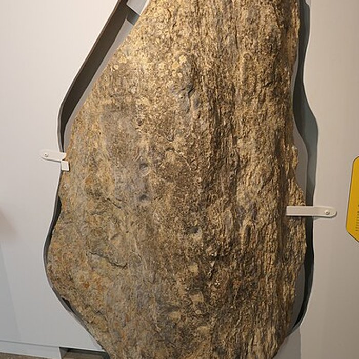 Photo de Tumulus du Château Bû à Saint-Just