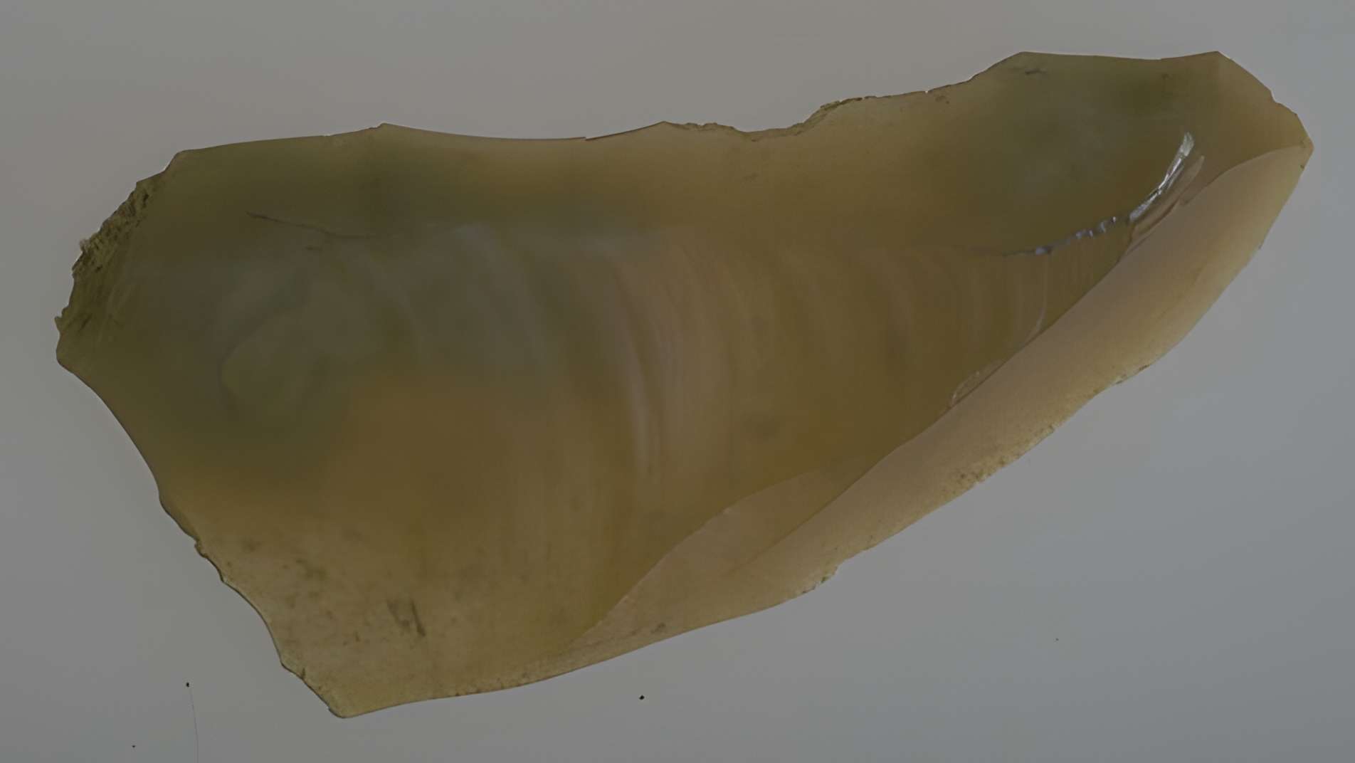 Tumulus du Château Bû à Saint-Just