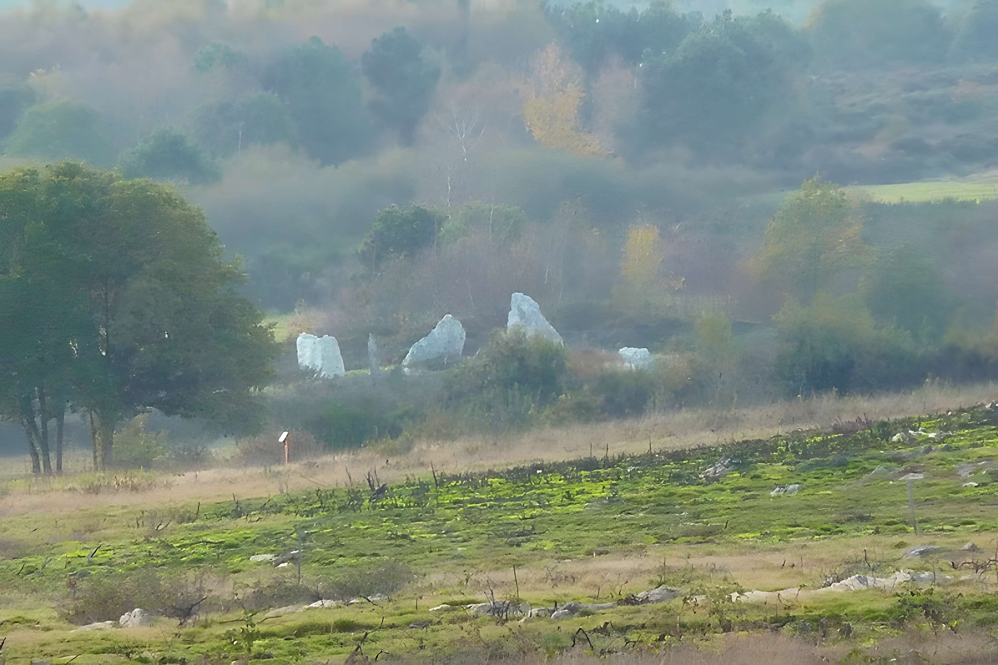 Tumulus du Château Bû à Saint-Just