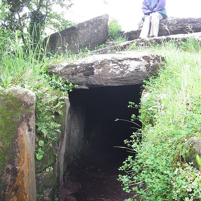 Photo de Tumulus du Mané-Lud à Locmariaquer