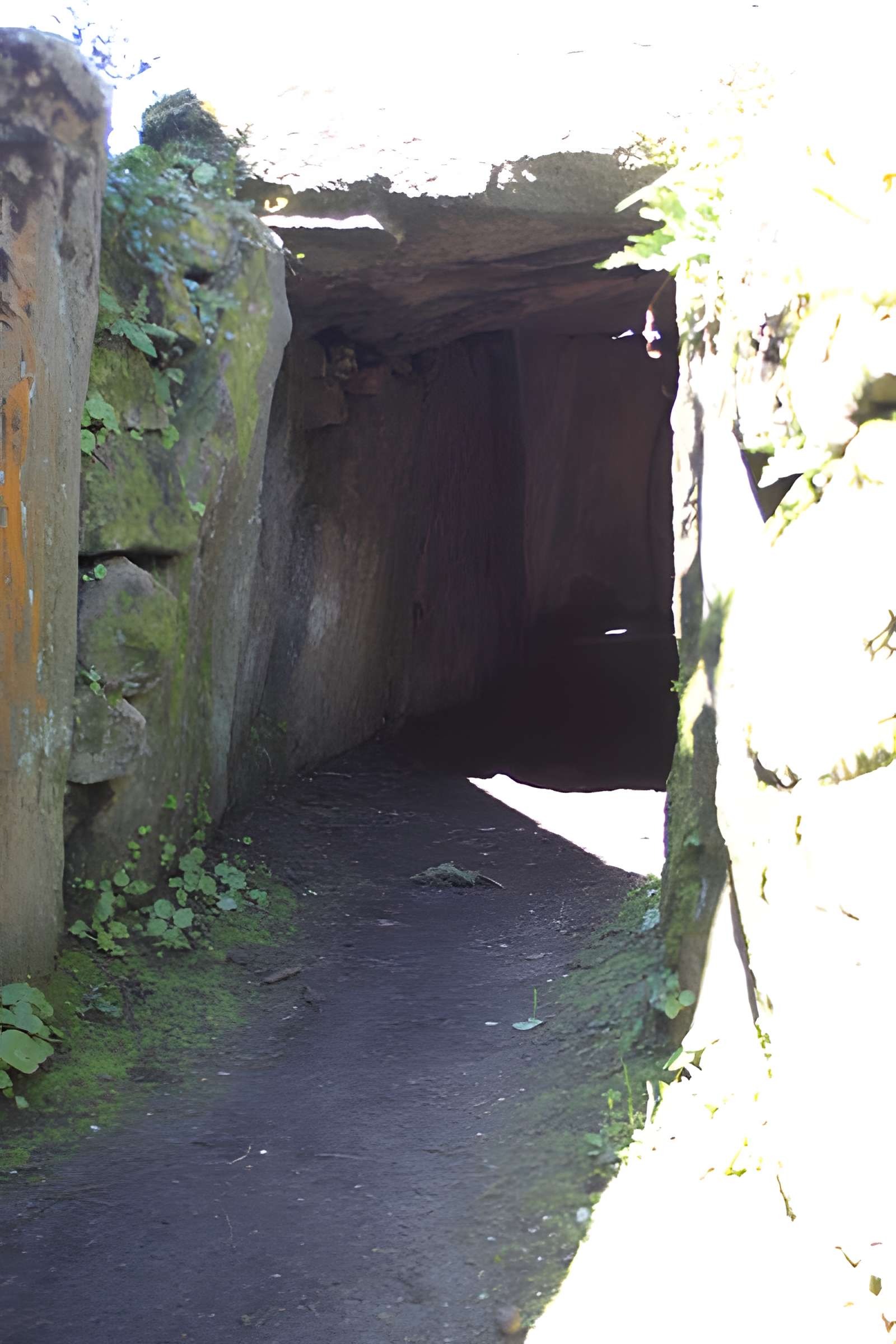 Tumulus du Mané-Lud à Locmariaquer