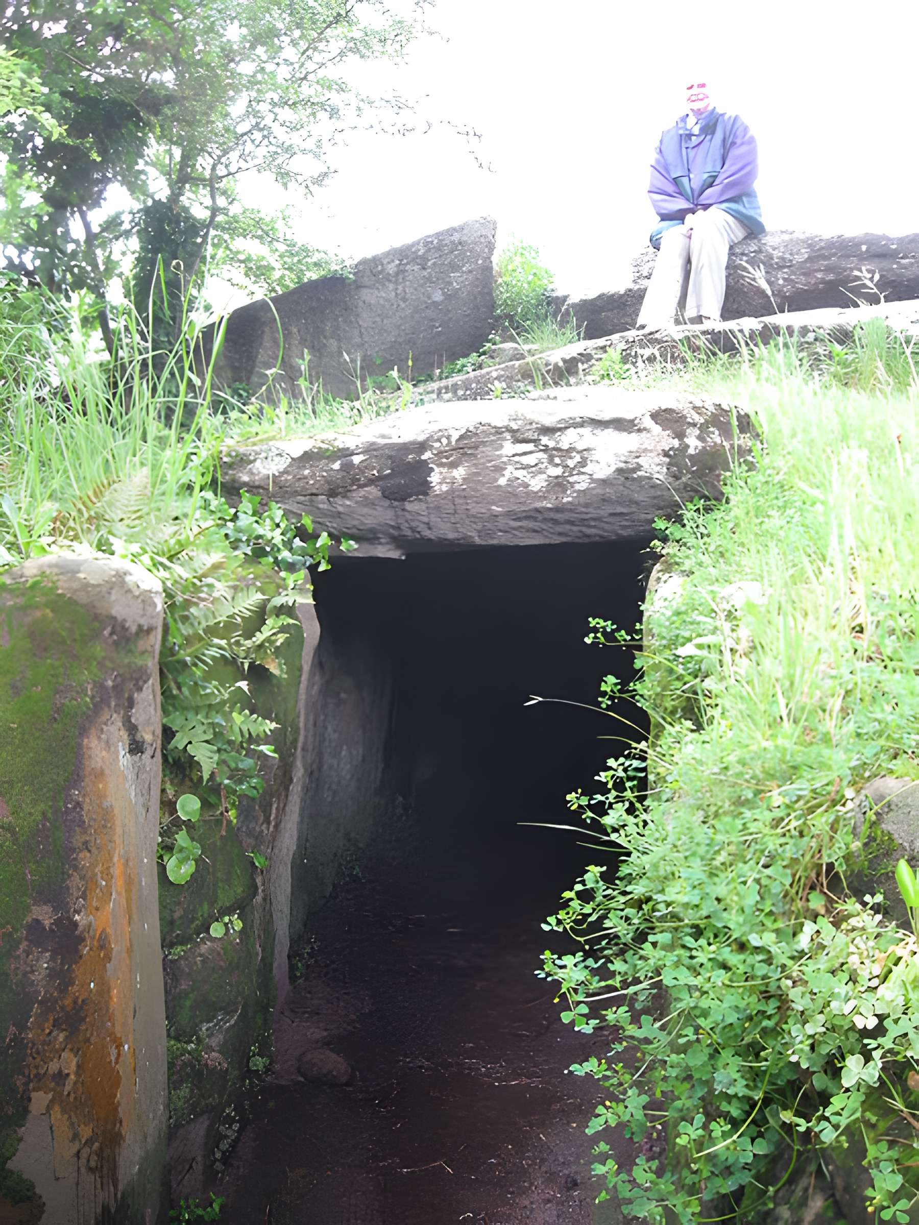 Tumulus du Mané-Lud à Locmariaquer