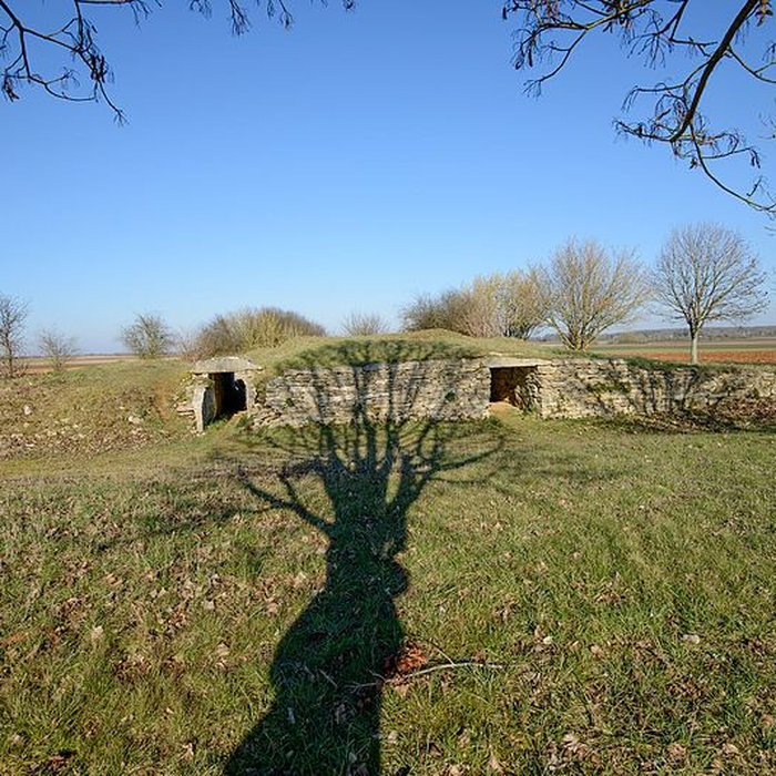 Photo de Ensemble des deux tumulus à chambres dolméniques, appelés tumulus du Montiou