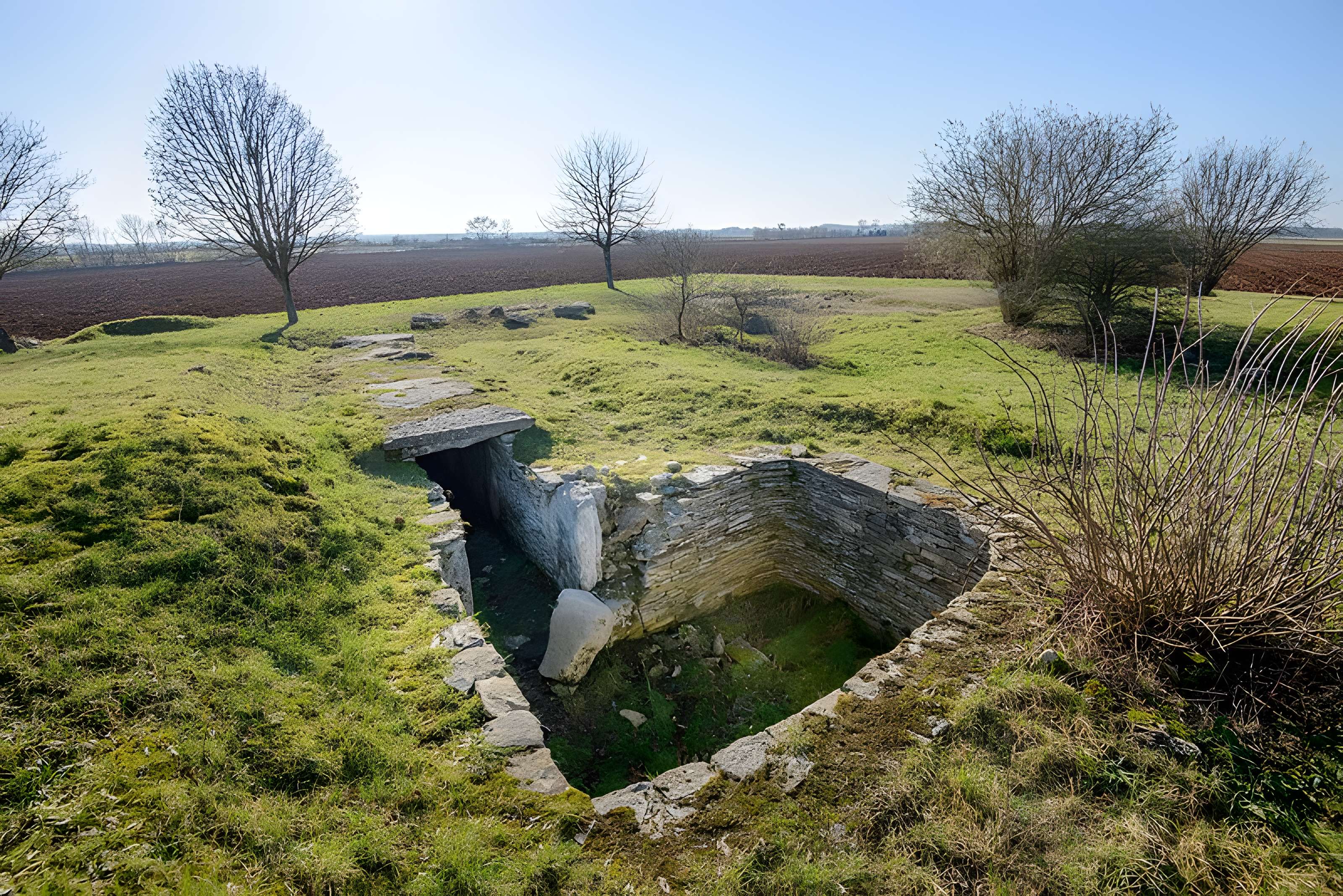 Ensemble des deux tumulus à chambres dolméniques, appelés tumulus du Montiou