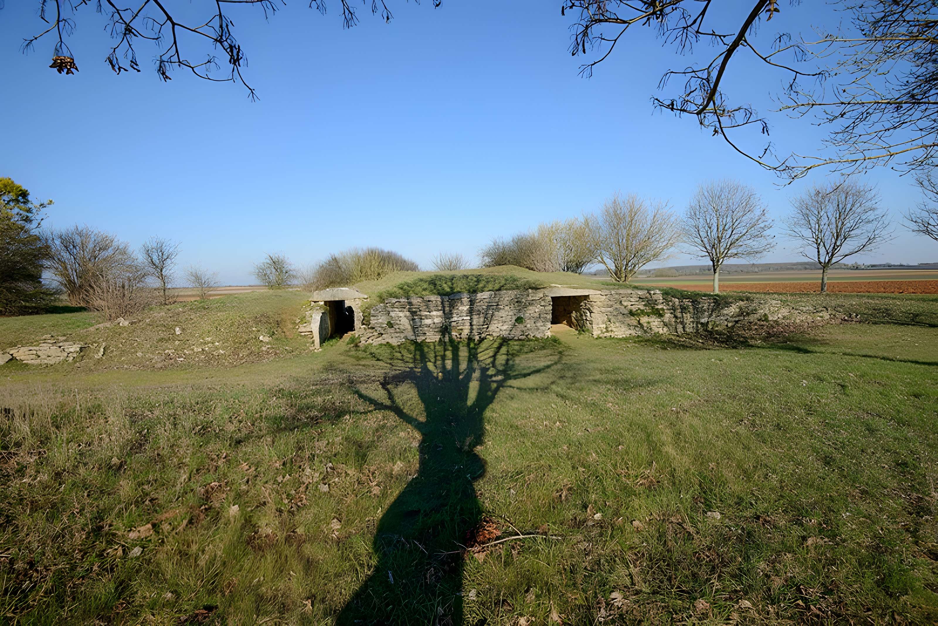 Ensemble des deux tumulus à chambres dolméniques, appelés tumulus du Montiou