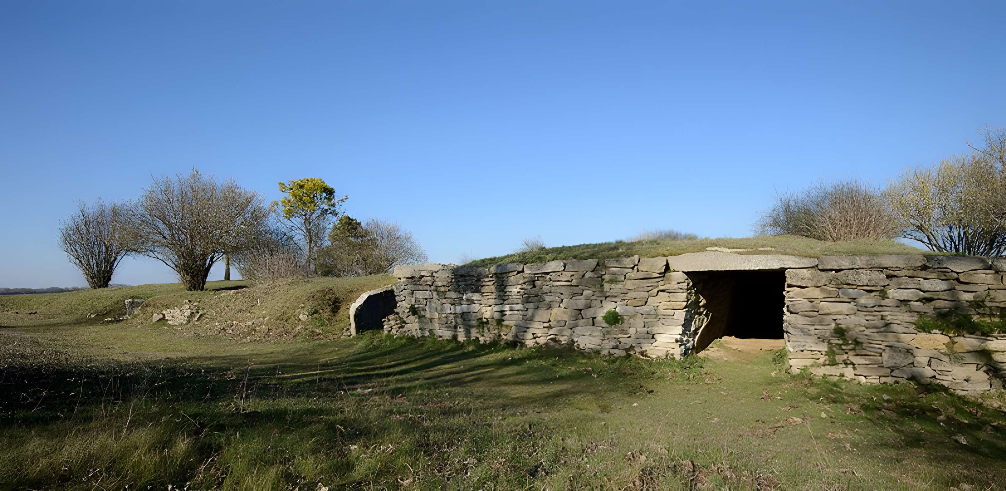Ensemble des deux tumulus à chambres dolméniques, appelés tumulus du Montiou
