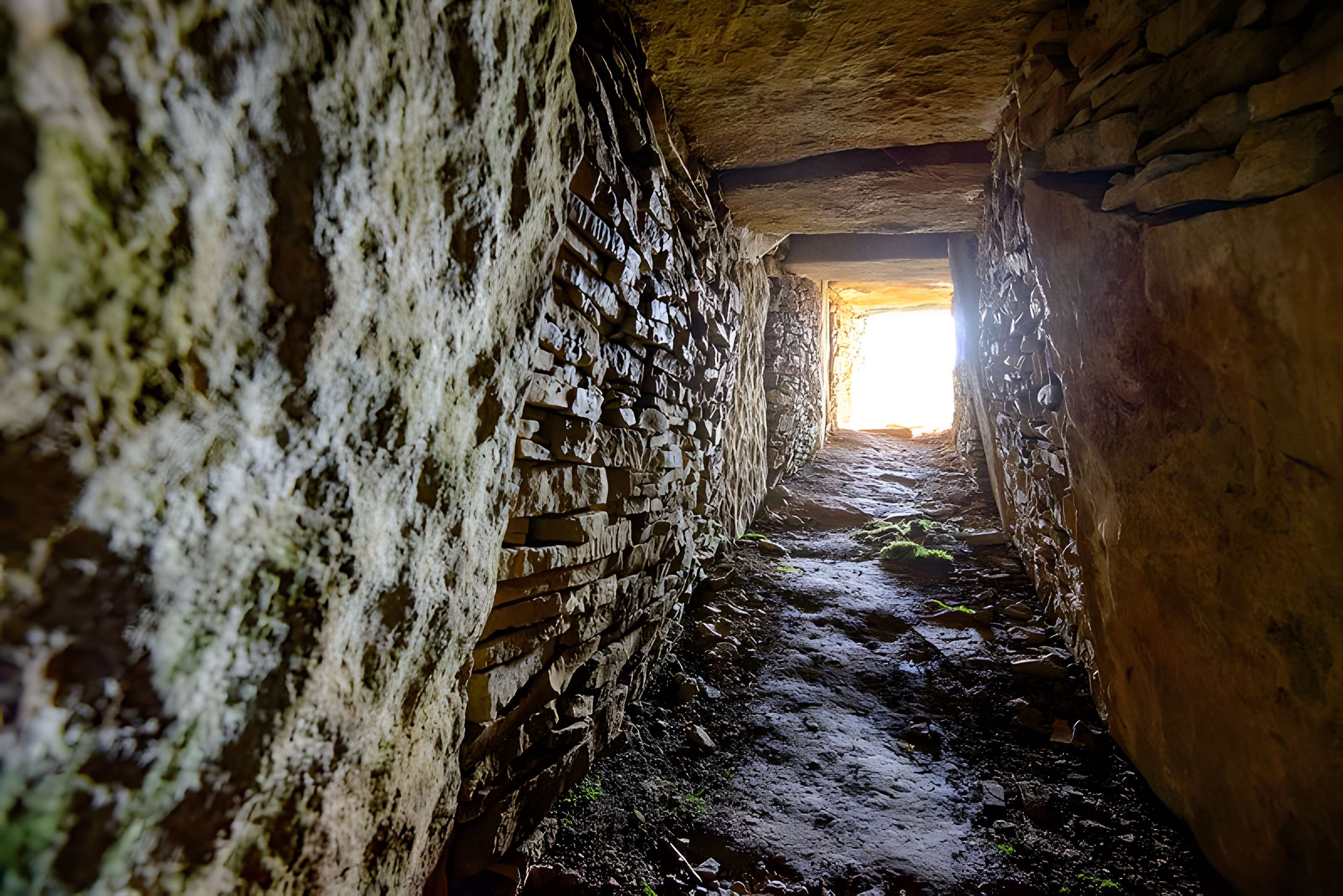 Ensemble des deux tumulus à chambres dolméniques, appelés tumulus du Montiou