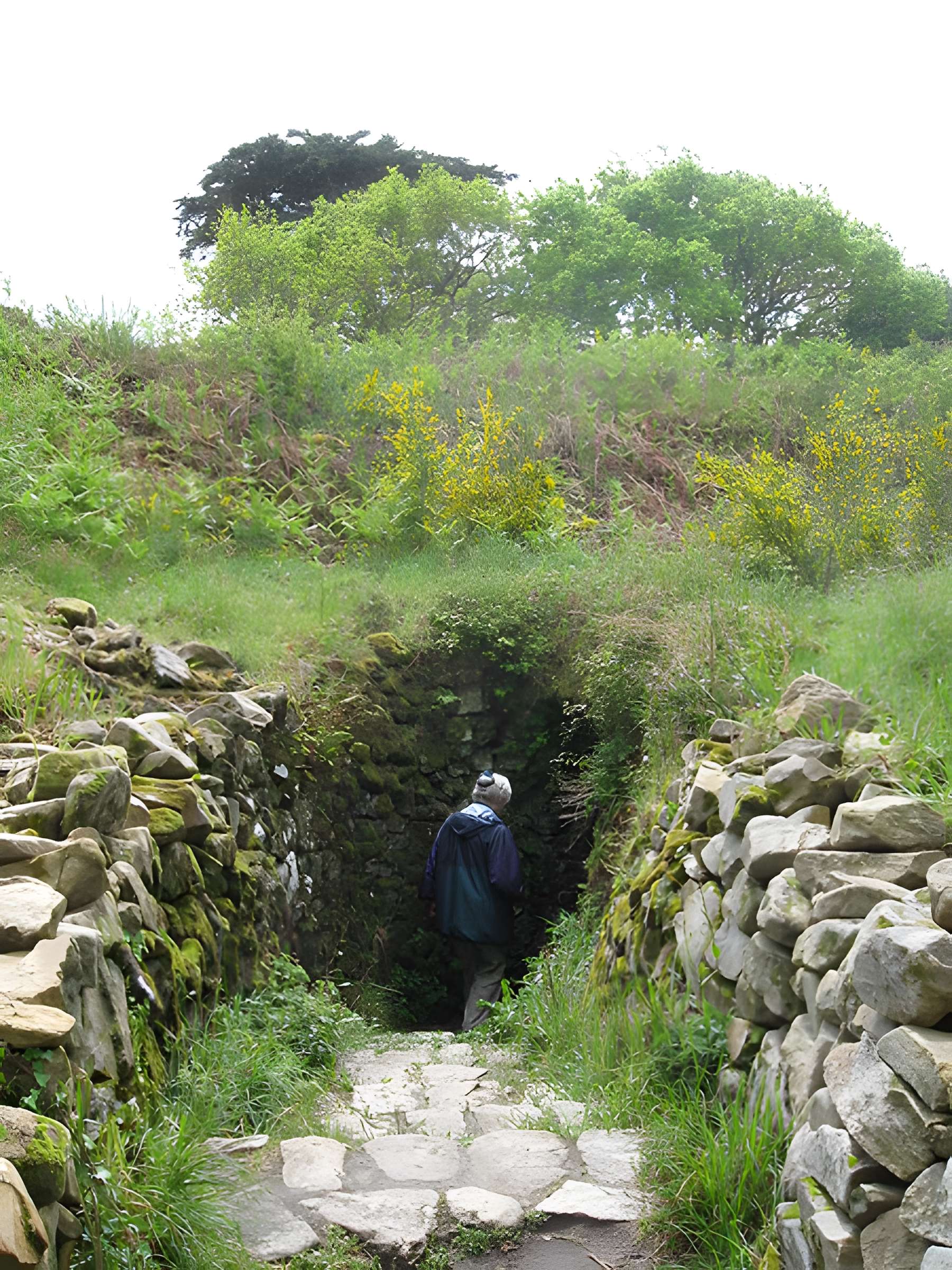 Tumulus du Ruyk à Locmariaquer