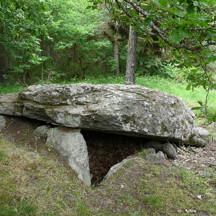 Photo de Tumulus-dolmen de la Pineyre à Saint-Nectaire