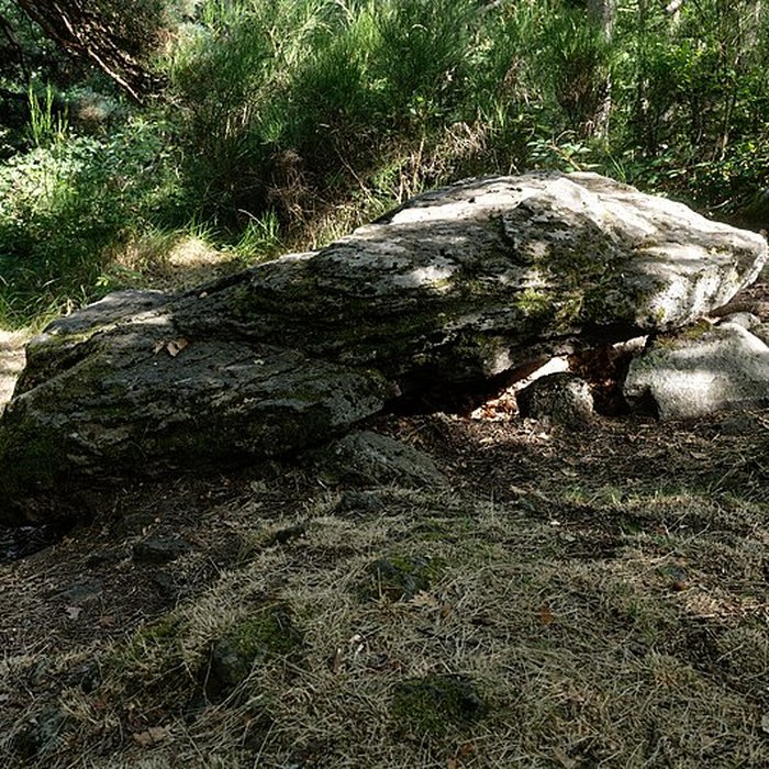 Photo de Tumulus-dolmen de la Pineyre à Saint-Nectaire