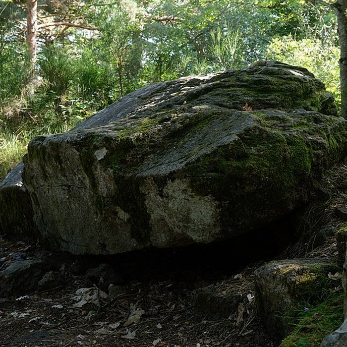 Photo de Tumulus-dolmen de la Pineyre à Saint-Nectaire