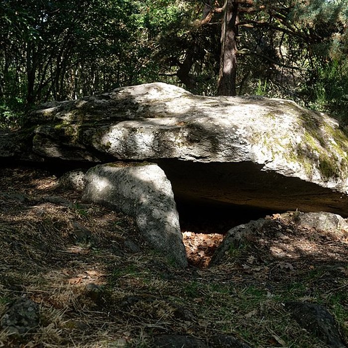 Photo de Tumulus-dolmen de la Pineyre à Saint-Nectaire