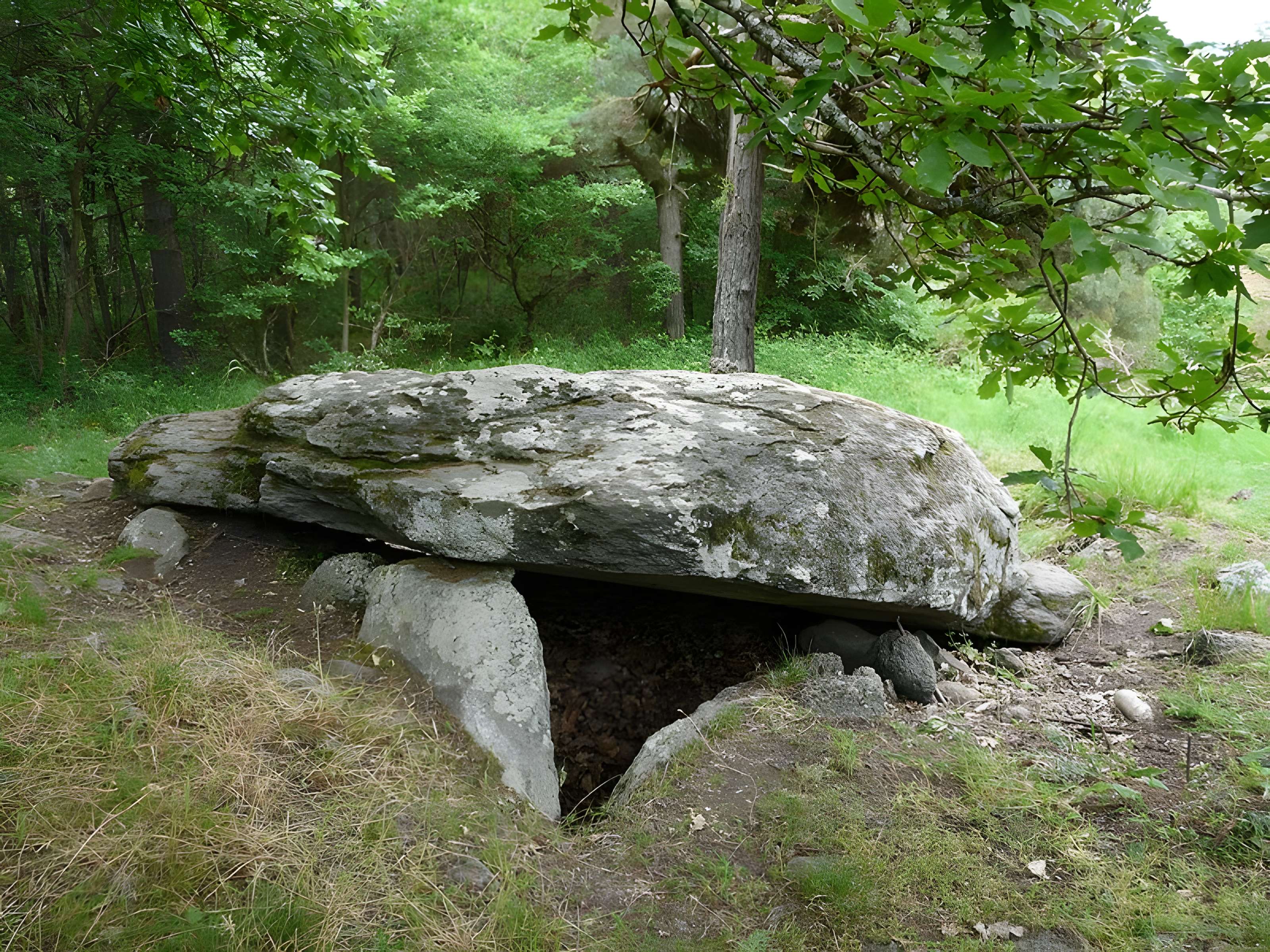 Tumulus-dolmen de la Pineyre à Saint-Nectaire 