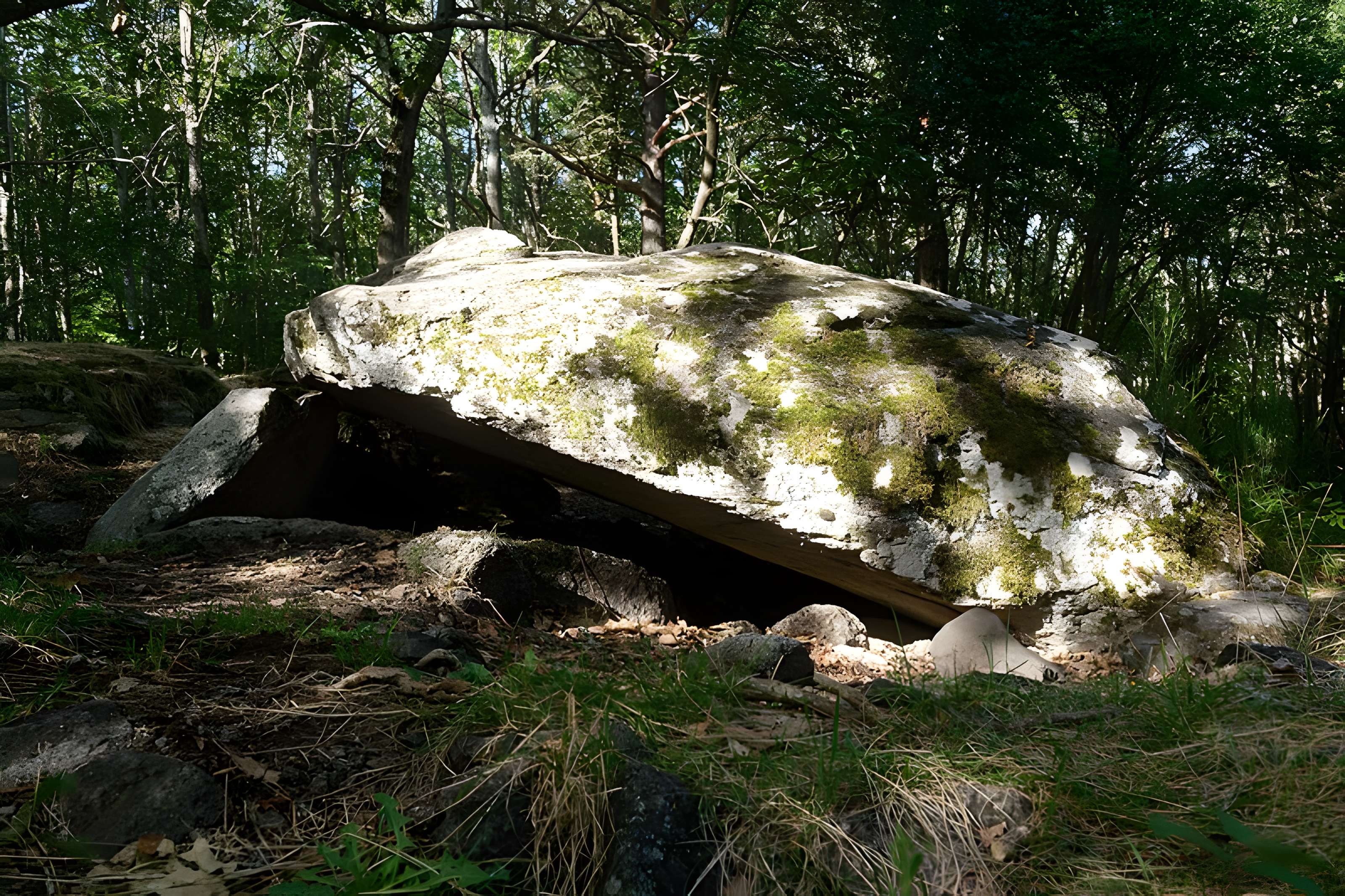 Tumulus-dolmen de la Pineyre à Saint-Nectaire