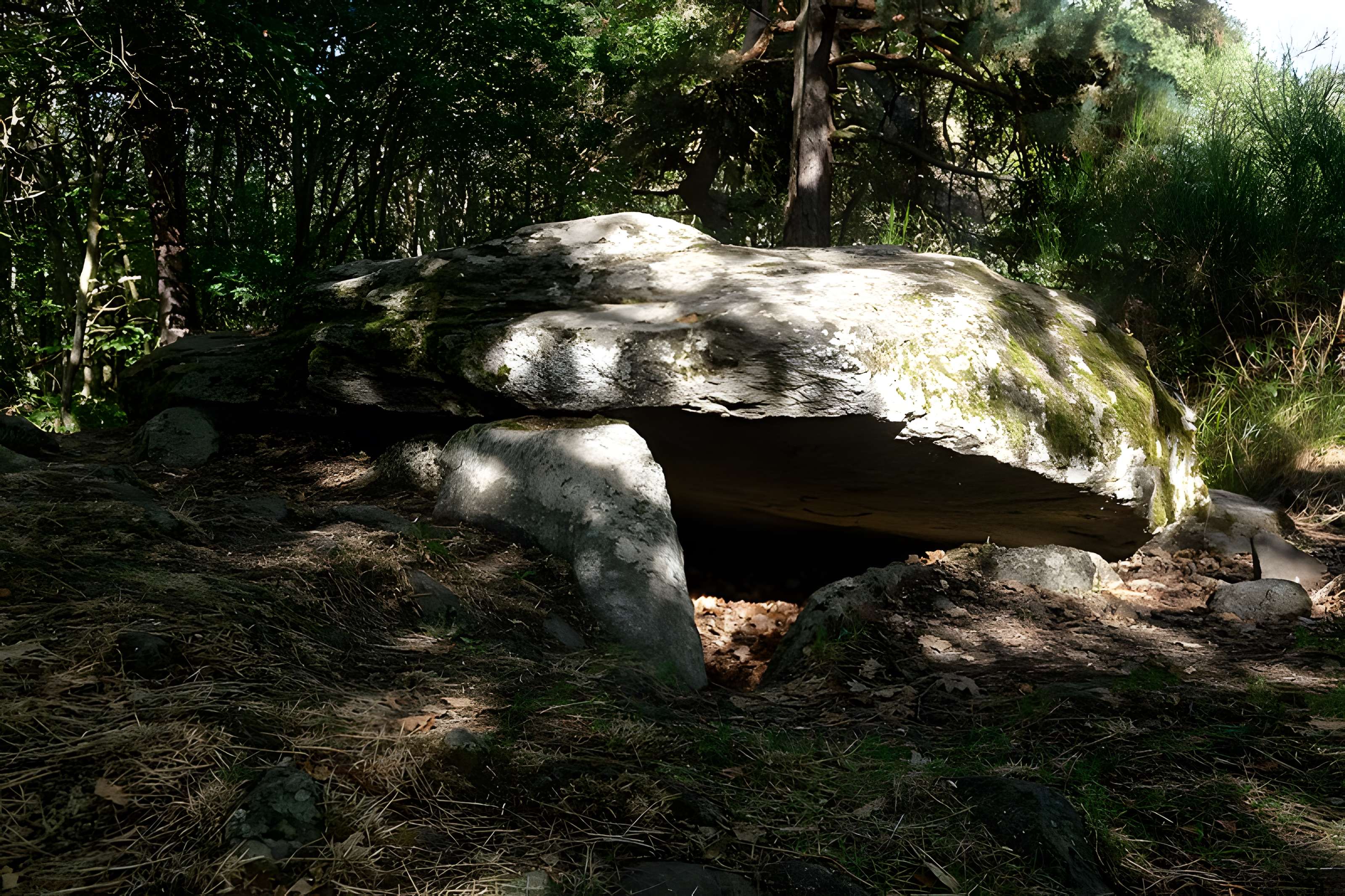 Tumulus-dolmen de la Pineyre à Saint-Nectaire