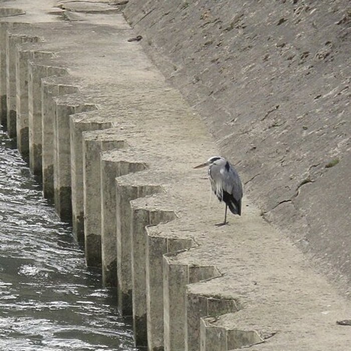 Photo de Usine Menier de Noisiel