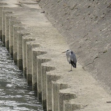 Usine Menier de Noisiel