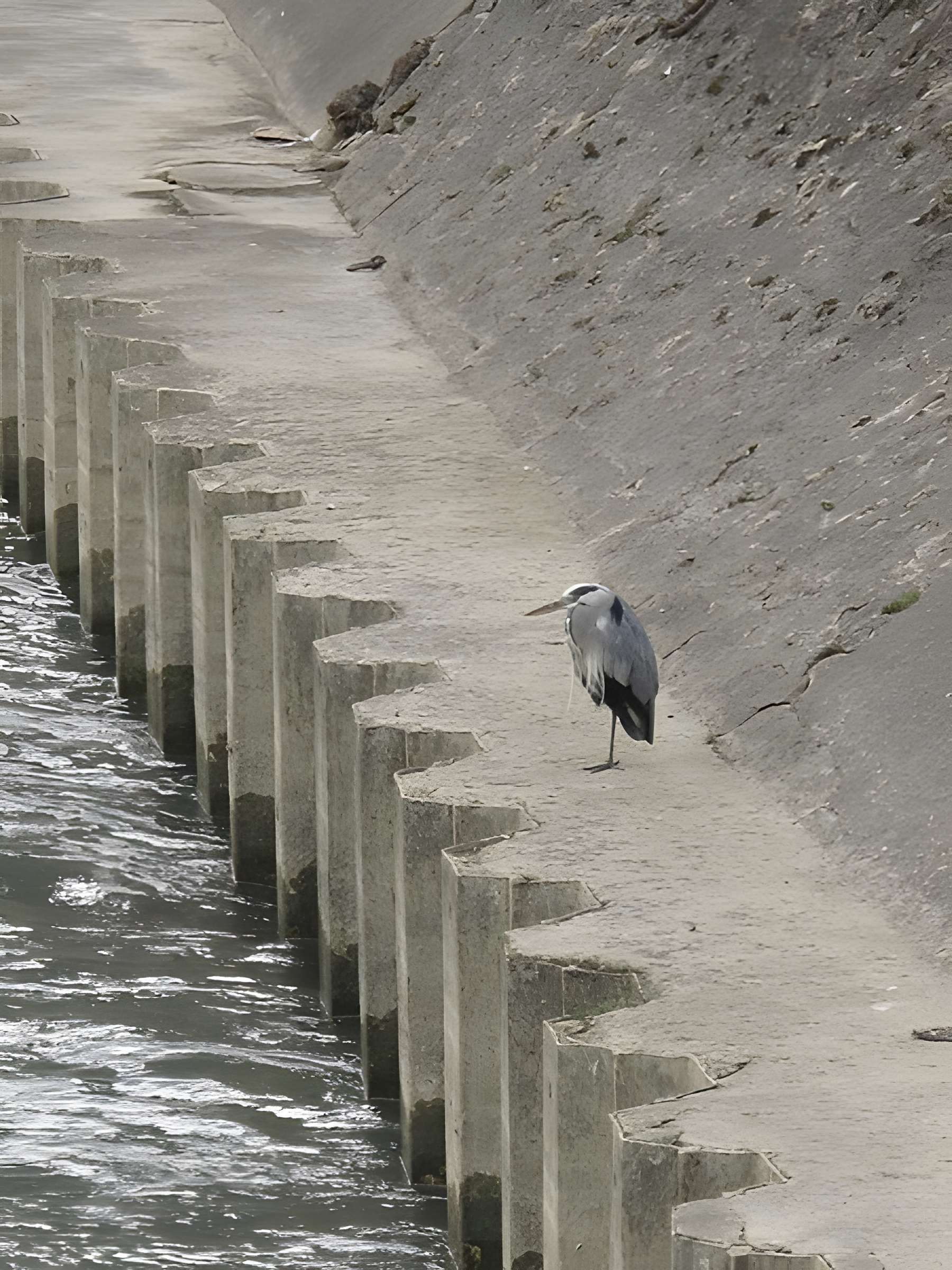 Usine Menier de Noisiel