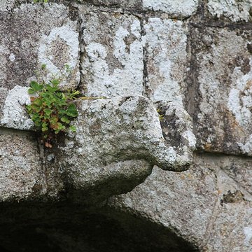 Vénus de Quinipily à Baud