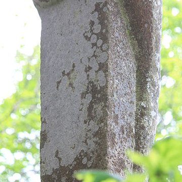 Vénus de Quinipily à Baud