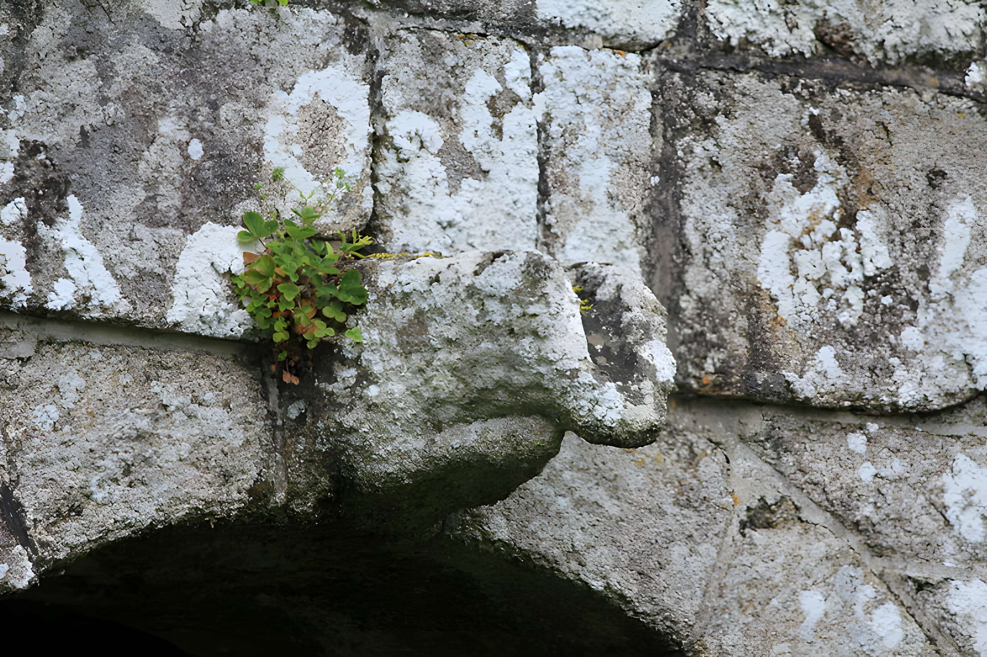 Vénus de Quinipily à Baud