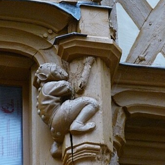 Photo de Maison dAdam et Eve ou de lArbre de Vie