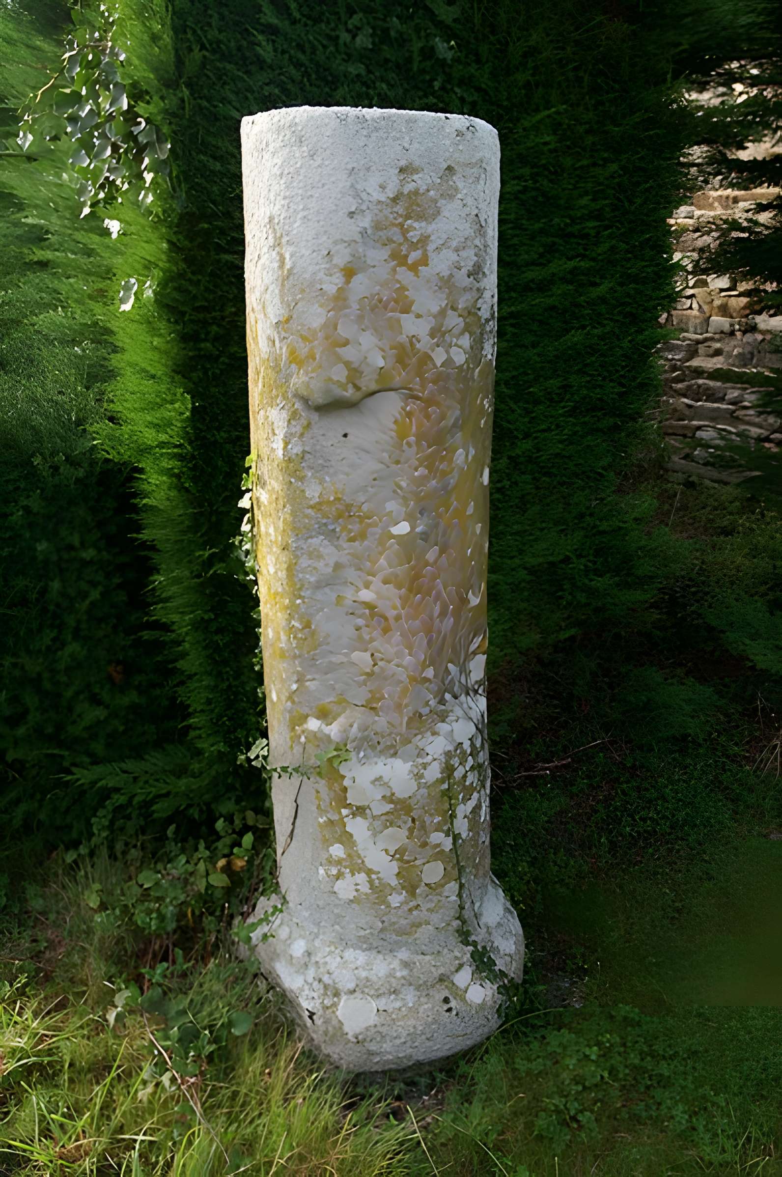 Vestiges archéologiques gallo-romains du Clos-Mulon à Corseul