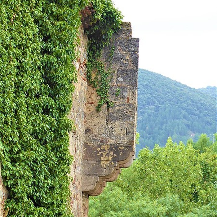 Photo de Vestiges de labbaye de Saint-Polycarpe