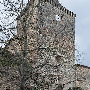 Vestiges de labbaye de Saint-Polycarpe