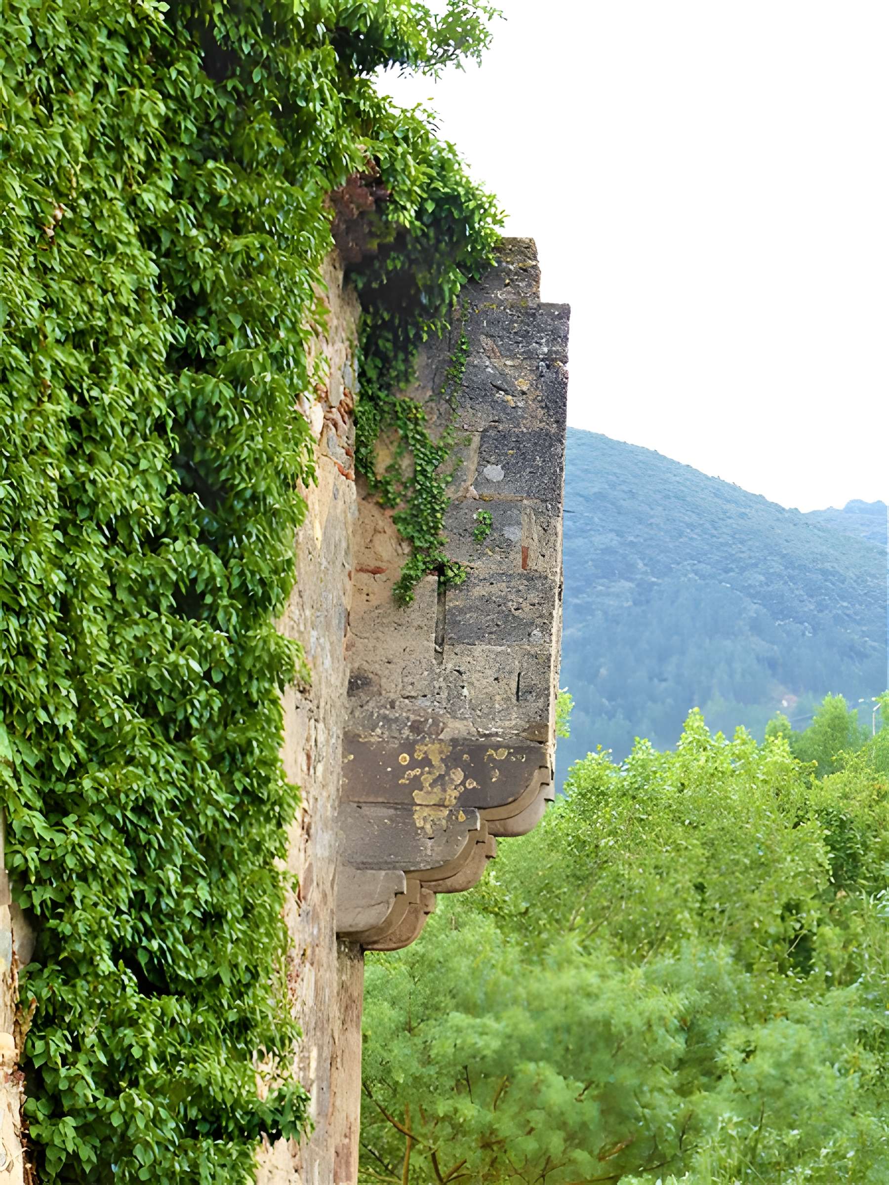 Vestiges de l'abbaye de Saint-Polycarpe