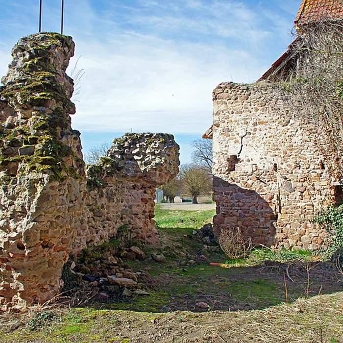 Photo de Vestiges gallo-romains de Drevant