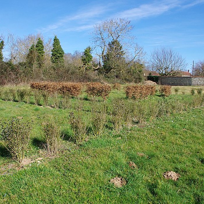 Photo de Vestiges gallo-romains de Drevant