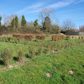 Vestiges gallo-romains de Drevant