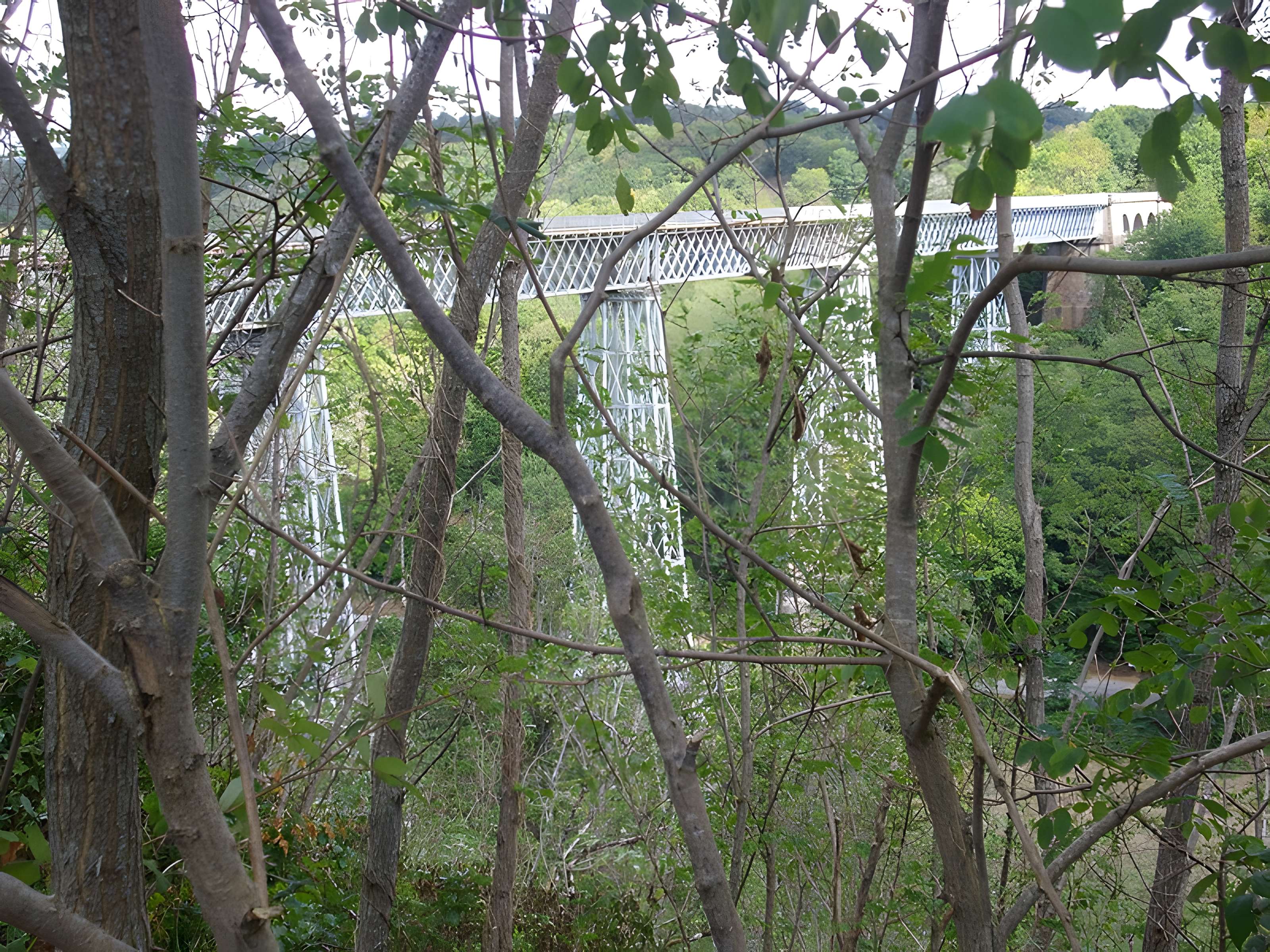 Viaduc de Busseau-sur-Creuse (également sur commune de Pionnat)