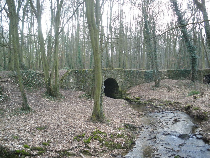 Photo de Vieux pont de Balizy, dit pont des Templiers à Longjumeau