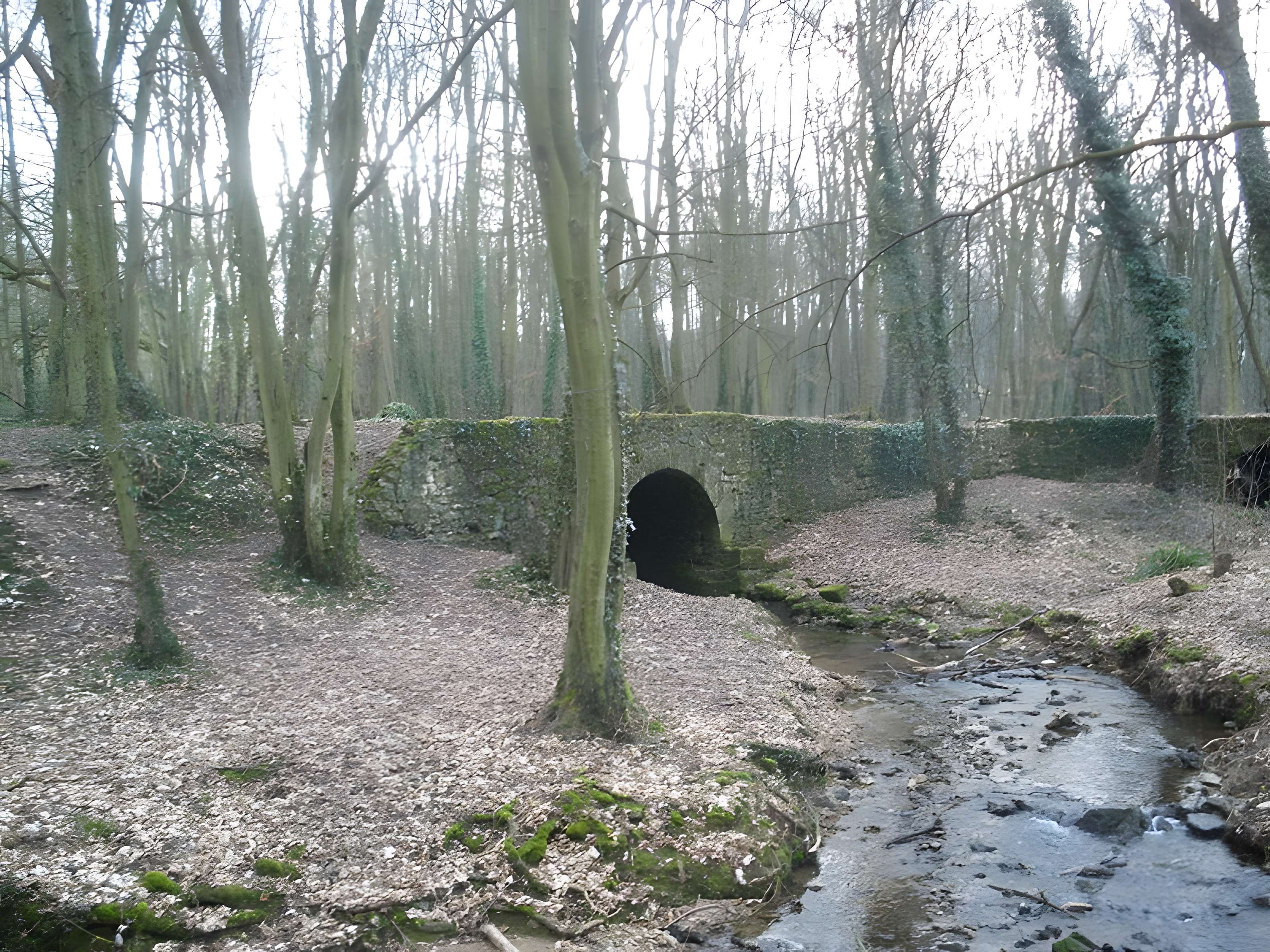 Vieux pont de Balizy à Longjumeau 
