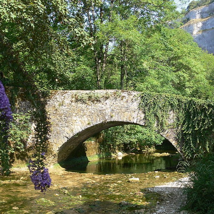 Photo de Vieux pont sur la Seille de Baume-les-Messieurs