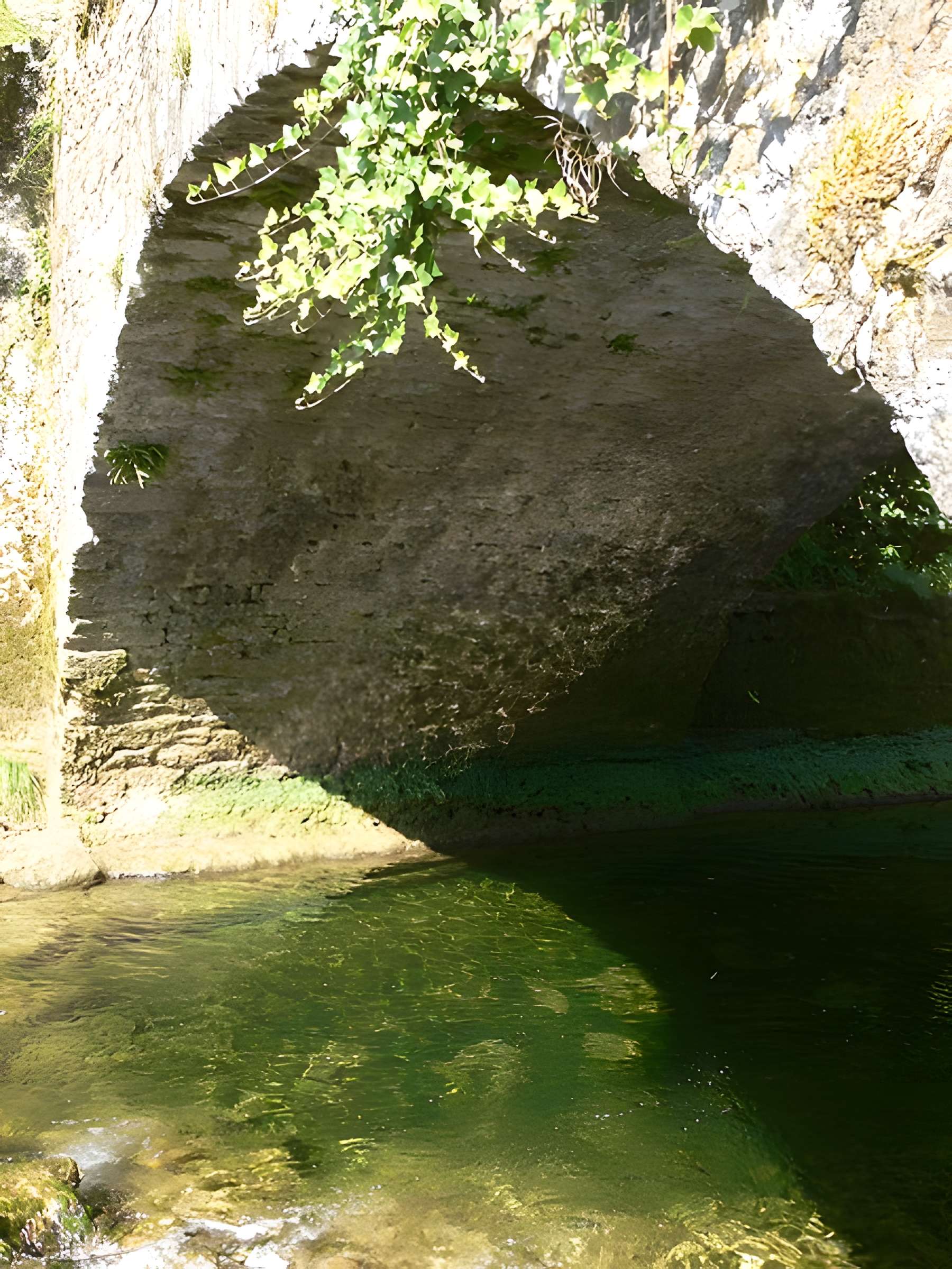 Vieux pont sur la Seille de Baume-les-Messieurs