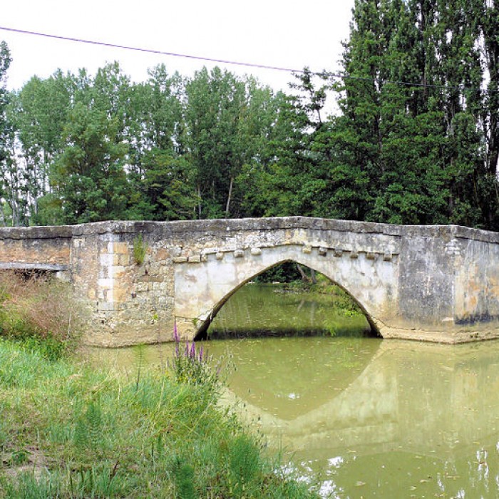 Photo de Vieux pont sur le Gers à Pavie