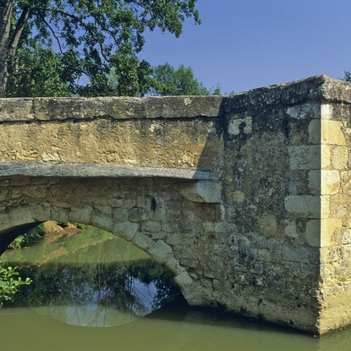 Photo de Vieux pont sur le Gers à Pavie