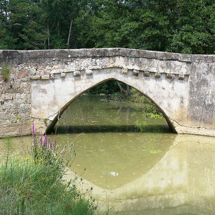 Photo de Vieux pont sur le Gers à Pavie