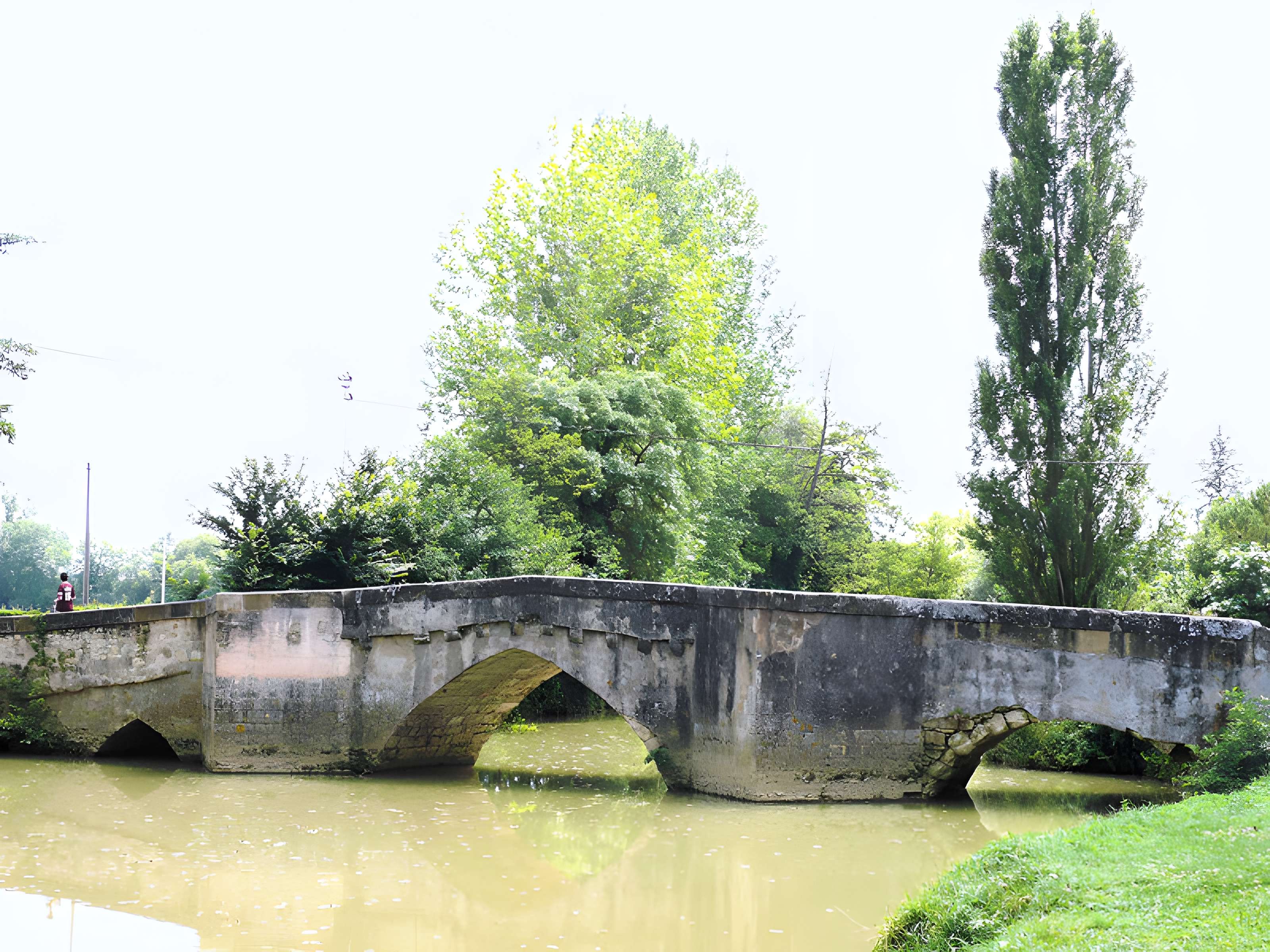Vieux pont sur le Gers à Pavie