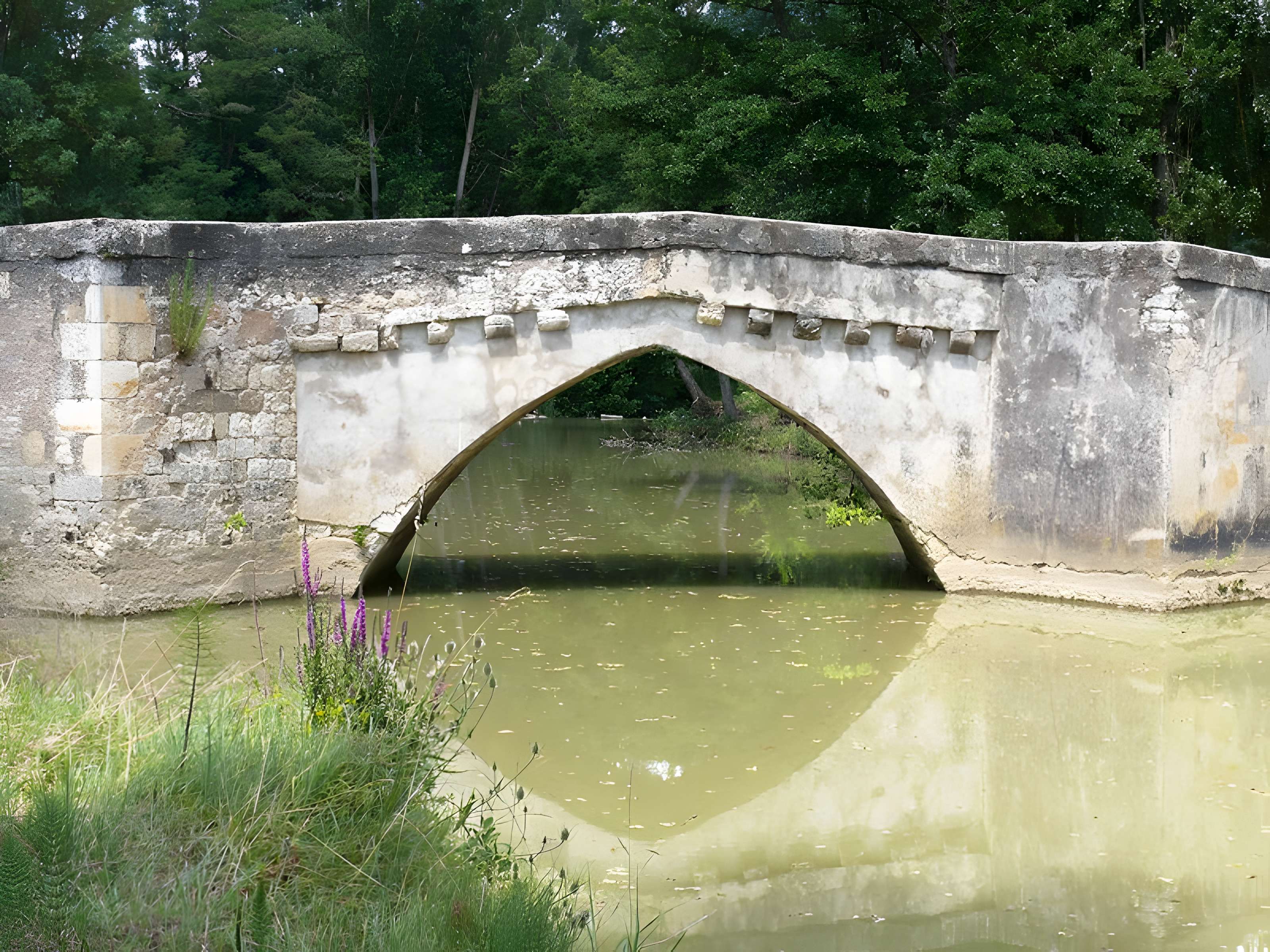 Vieux pont sur le Gers à Pavie