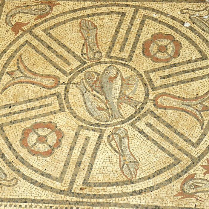 Photo de Villa gallo-romaine de Membrey