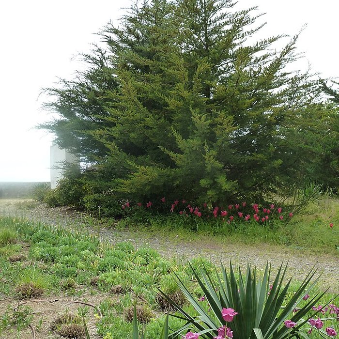 Photo de Maison de Georges Clemenceau à Saint-Vincent-sur-Jard