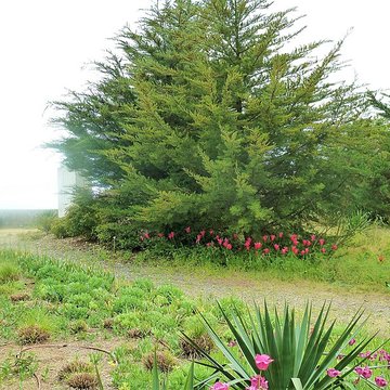 Maison de Georges Clemenceau à Saint-Vincent-sur-Jard