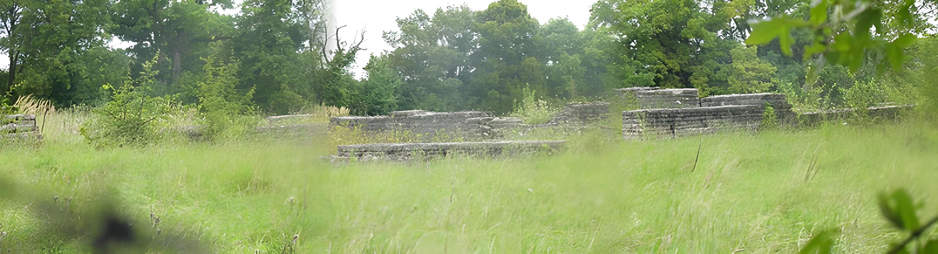 Villa gallo-romaine de Saint-Ulrich à Dolving
