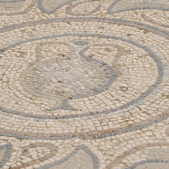 Photo de Villa gallo-romaine de Séviac à Montréal