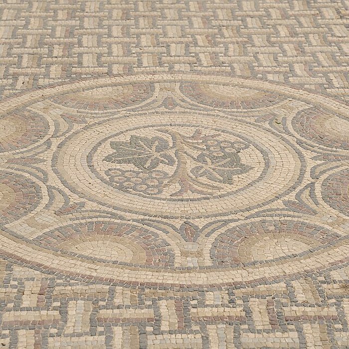 Photo de Villa gallo-romaine de Séviac à Montréal